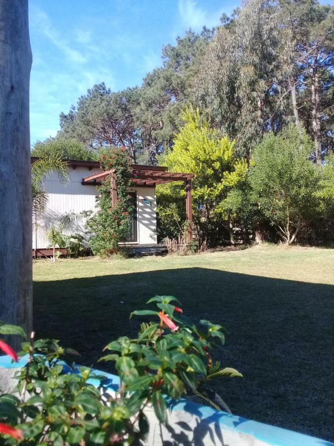 La Maison Suites & Gastronomia La Paloma Bagian luar foto